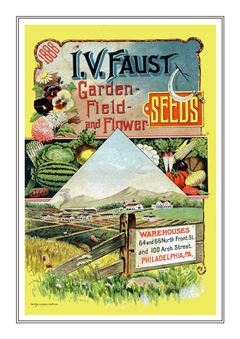 Flower Catalogue 165