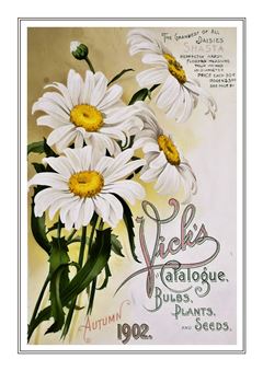 Flower Catalogue 166