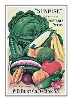 Vegetable Seed Catalogue 099
