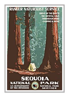 Sequoia 001