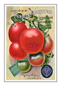 Vegetable Seed Catalogue 102