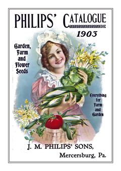 Flower Catalogue 175