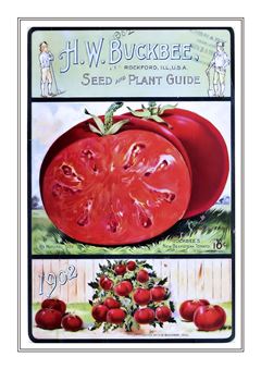 Vegetable Seed Catalogue 103
