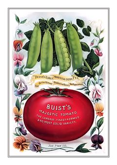 Vegetable Seed Catalogue 104