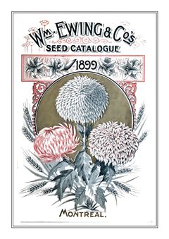 Flower Catalogue 178