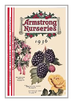 Vegetable Seed Catalogue 108