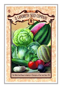 Vegetable Seed Catalogue 109