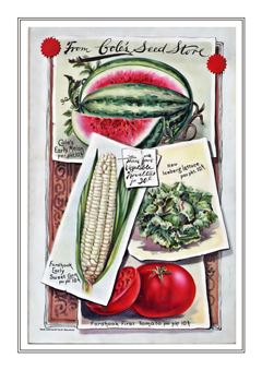 Vegetable Seed Catalogue 111