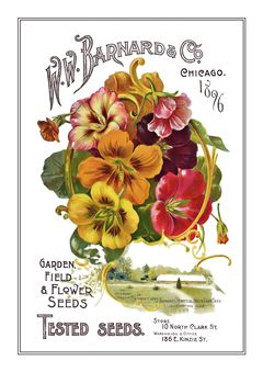 Flower Catalogue 018