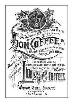 Lion 001