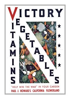 Vegetable Seed Catalogue 113