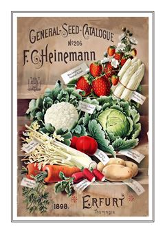 Vegetable Seed Catalogue 114