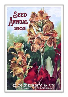 Flower Catalogue 187