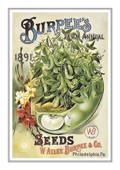 Vegetable Seed Catalogue 115