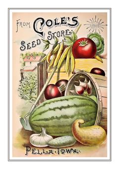 Vegetable Seed Catalogue 116