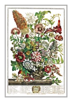 Botanical 185