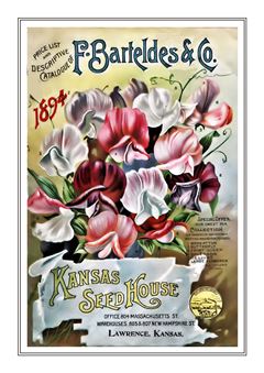 Flower Catalogue 189