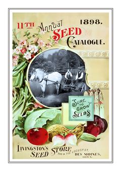 Vegetable Seed Catalogue 117