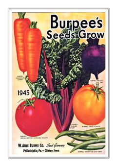 Vegetable Seed Catalogue 118