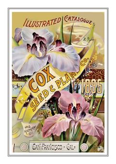 Flower Catalogue 191