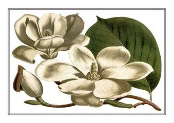 Botanical 194