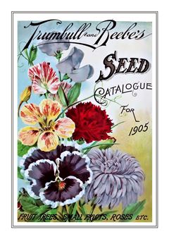 Flower Catalogue 199