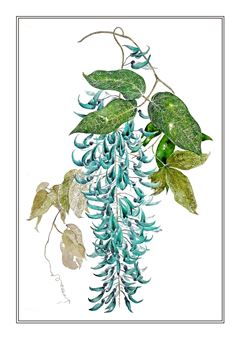 Botanical 197