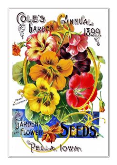 Flower Catalogue 020