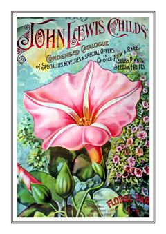 Flower Catalogue 202