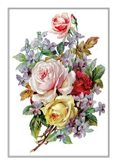 Botanical 200
