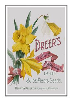 Flower Catalogue 203
