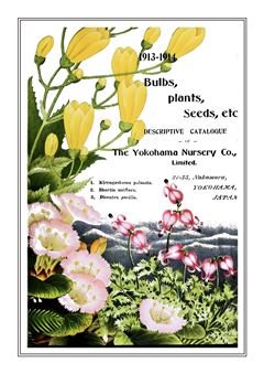 Flower Catalogue 205