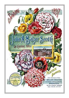 Flower Catalogue 206