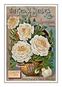 Flower Catalogue 208