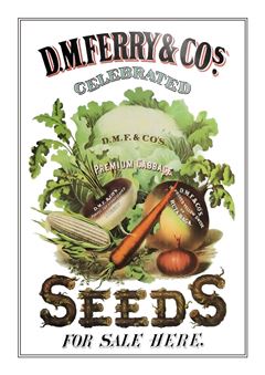 Vegetable Seed Catalogue 121