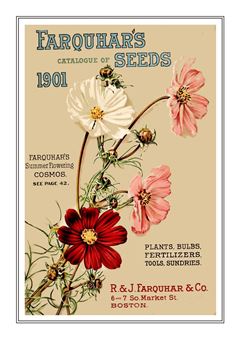 Flower Catalogue 214