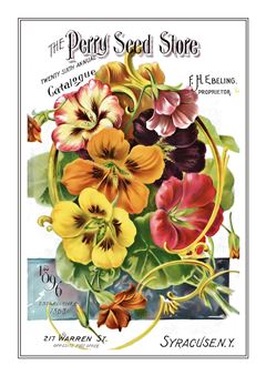 Flower Catalogue 022