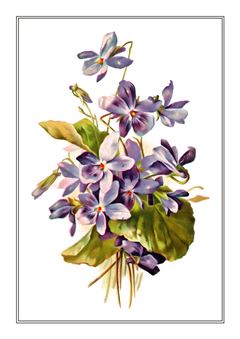 Botanical 024