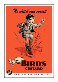 Bird's 011