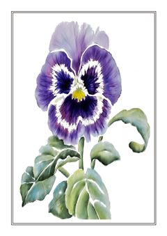 Botanical 029
