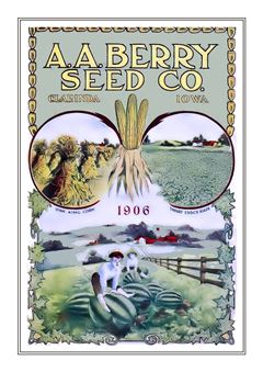 Vegetable Seed Catalogue 039
