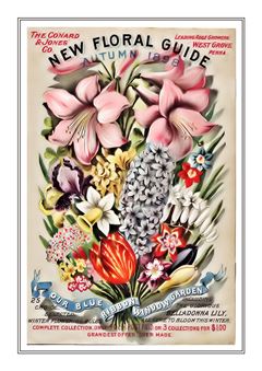 Flower Catalogue 031