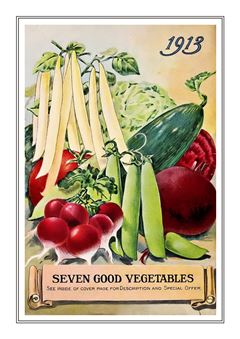 Vegetable Seed Catalogue 003