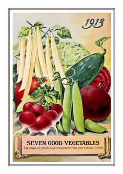 Vegetable Seed Catalogue 003