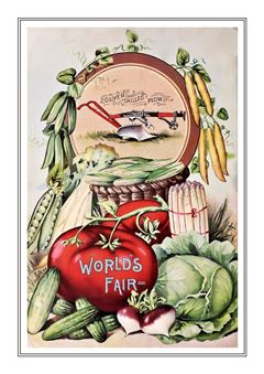 Vegetable Seed Catalogue 004