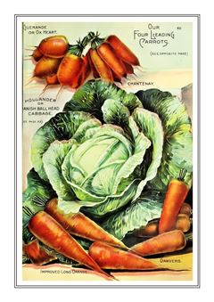 Vegetable Seed Catalogue 005