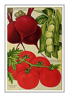 Vegetable Seed Catalogue 006