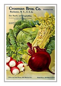 Vegetable Seed Catalogue 008