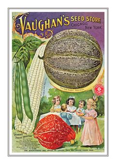 Vegetable Seed Catalogue 009
