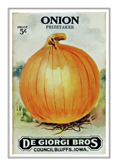 Vegetable Seed Catalogue 011